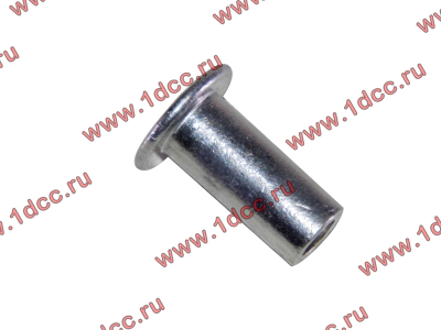 Заклепка алюминиевая 10х24 H2/H3 HOWO (ХОВО) 189000340068 AL фото 1 Нижнекамск