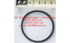 Кольцо уплотнительное ø346х3.5 гидромуфты ГТР CDM 855, 843 фото Нижнекамск