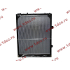 Радиатор WP12 SH SHAANXI / Shacman (ШАНКСИ / Шакман) DZ95259532203 фото 2 Нижнекамск